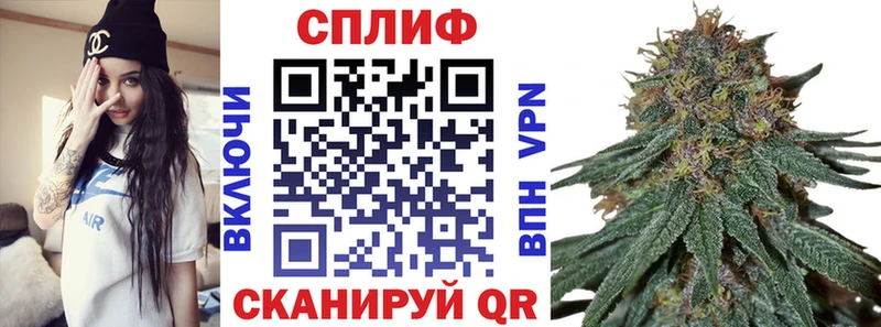 Виды наркоты Барнаул Метадон  Амфетамин  ГАШ  МЕГА ССЫЛКА  Конопля  APVP 