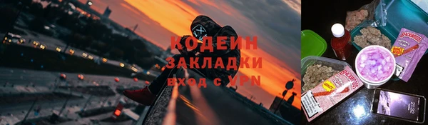 мет Бородино