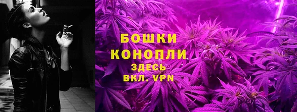 мет Бородино